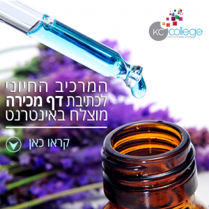 המרכיב החיוני לכתיבת דף מכירה מוצלח באינטרנט